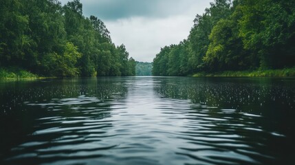 Naklejka premium Tranquil Forest River Landscape
