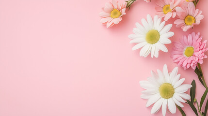 Obraz premium ピンクの背景に並ぶカーネーションや花々とつぼみ