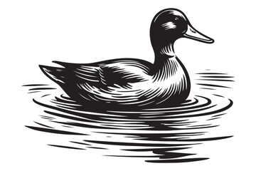 Duck silhouette on water vector illustration pond tranquility scene