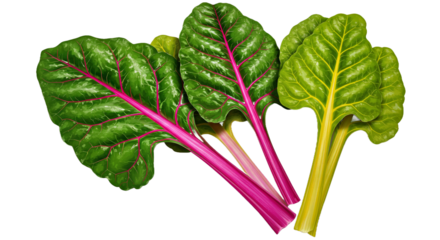 A Hyper-Realistic Image of Swiss Chard Leaves, Featuring Broad, Glossy Leaves Paired With Striking Stems in Vibrant Magenta or Yellow