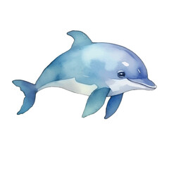 dolphin cute watercolors illustration on white background