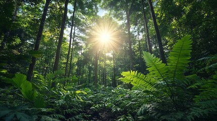 Obraz premium Sunlight filters through lush green forest canopy, nature tranquility scene, Earth Day, eco-friendly conservation, fresh environment