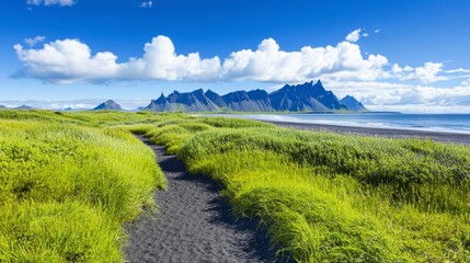 Obraz premium Coastal path leads to a black sand beach with vibrant green vegetation, and a mountain range under a sunny blue sky. Lush greenery contrasts against dark volcanic sand.
