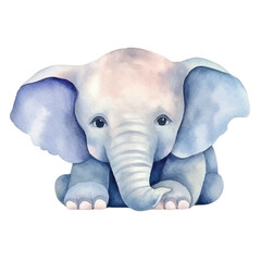 elephant lay on floor cute watercolors illustration on white background