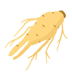 Obraz premium Clean ginseng root icon with soft yellow color, fine line details, and natural root shape, crafted in flat style to represent traditional herbal power.