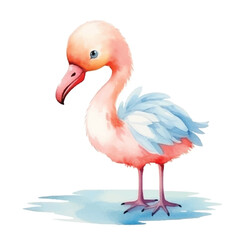 flamingo cute watercolors illustration on white background