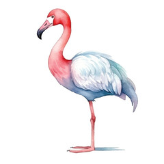 flamingo cute watercolors illustration on white background