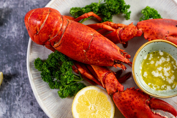Close up of fresh steamed lobster with herbs