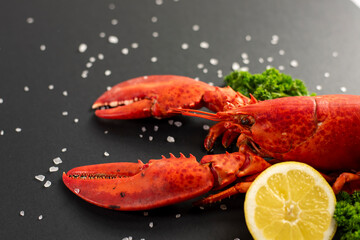 Canadian lobster food on black background