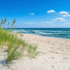 Seascape of a sandy beach with vibrant green sea grass under a clear blue sky with fluffy white clouds. Gentle waves lap the shore.