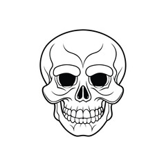 Fototapeta premium A creepy skull and crossbones design featuring a human skull, symbolizing death and danger with bones, teeth, and a scary, evil vibe perfect for a Halloween or tattoo illustration