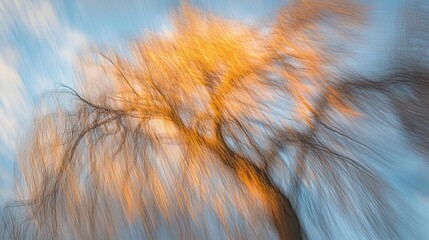 Abstract Impressionistic Image Of A Tree Against A Blue Sky