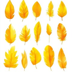 Obraz premium Yellow and Teal Bird Feathers Presented in Watercolor Collection