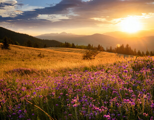 Obraz premium A Slovak meadow blanketed with wildflowers in golden and purple hues under the soft light of the setting sun.