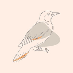 Bird drawing in one continuous line art sketch vector (3)