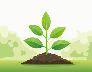 A green young plant growing in soil on nature background