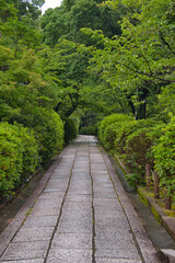 A view of the stone paving path.  Kyoto Japan
