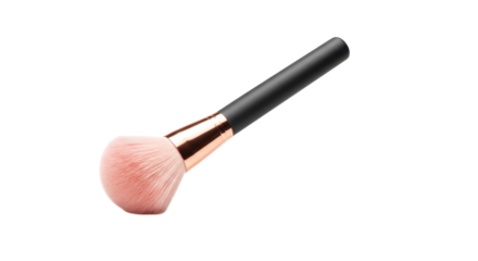 Isolated Blush Brush
