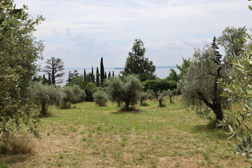 Obraz premium Impressionen aus Manerba del Garda am Gardasee 