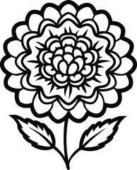 Marigold black and white outline icon on transparent background