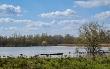 Belgium, Harchies - March 29, 2025 : beautiful view of the Harchies marshes