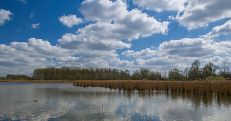 Belgium, Harchies - March 29, 2025 : beautiful view of the Harchies marshes
