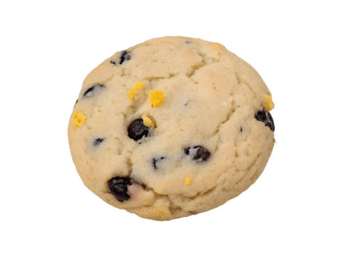 Cookie Delight: A close-up shot of a delectable, single cookie, speckled with chocolate chips, evoking the irresistible allure of a sweet treat.