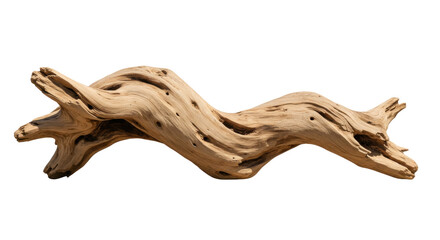 Isolated Driftwood