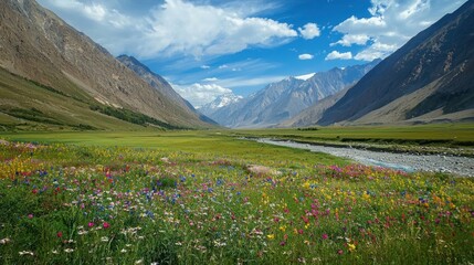 Fototapeta premium A picturesque valley with colorful wildflowers in full bloom, surrounded by towering mountains