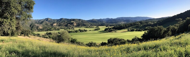 The natural environment of Georgia's mountains includes rolling hills, lush greenery, and a dirt path surrounded by wildflowers and shrubs. The rural landscape features elevated slopes and a serene