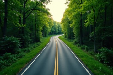 Fototapeta premium Asphalt ribbon winding through a verdant canopy of trees, sunlight filtering through leaves creating a tranquil and scenic driving experience.