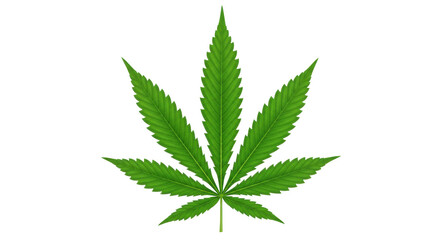Isolated Cannabis Leaf