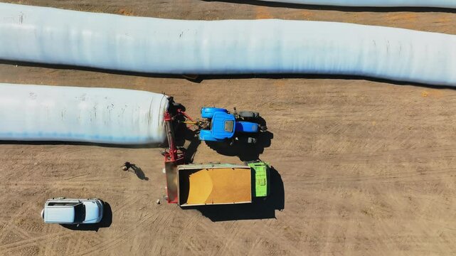Aerial overhead shot on Plastic bag silos and wheat grinding, Milling. Tractor with trailer working in tandem alongside a working combine harvester discharging grain from uploader in an cornfield