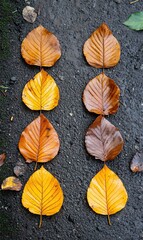 Fototapeta premium A nature photography backdrop of autumn leaves in rich golden brown hues and dark, moody shades