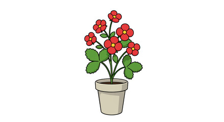 Isolated Potted Flower Plant
