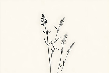 Obraz premium Black silhouettes of slender plants against a light background are seen