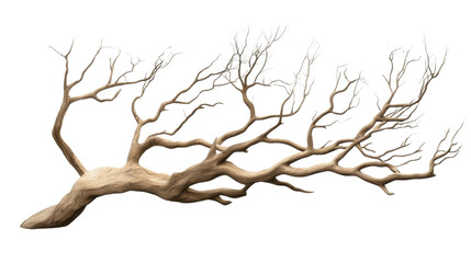 Obraz premium Ancient Tree in Wind: An evocative, artful illustration of a weathered, solitary tree, its branches dramatically shaped by relentless wind, telling tales of time and resilience.