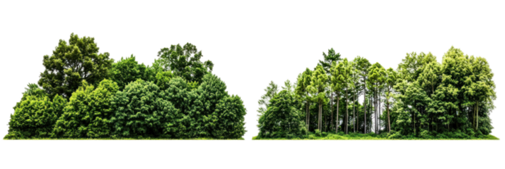 Lush Green Set on transparent background