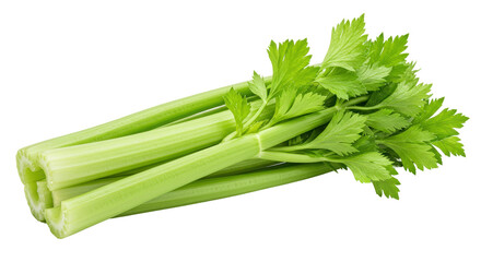 Isolated Celery