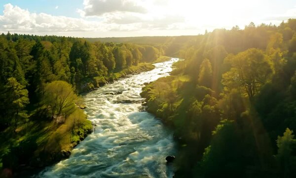 Aerial view of river and forest at summer day, sky and clouds. Clip. Flying over rippling river banks and green woodland, beautiful place with natural landscape.