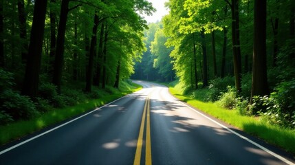 Fototapeta premium Serene Winding Road Through Lush Green Canopy of Trees on a Sunny Day