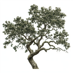 Fototapeta premium A detailed illustration of a tree with intricate branches and lush foliage, showcasing its natural beauty and unique structure.