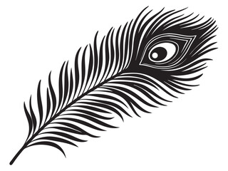 peacock feather black silhouette vector silhouette white background 