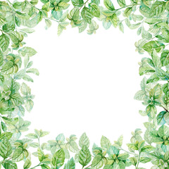 Fresh mint leaves and sprigs watercolor hand drawn illustration template. Aromatic culinary herbs colorful square frame for food, beauty, garden and kitchen design isolated on white background