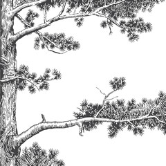 Silhouette Tree Line Drawing Hand-drawn vector illustration