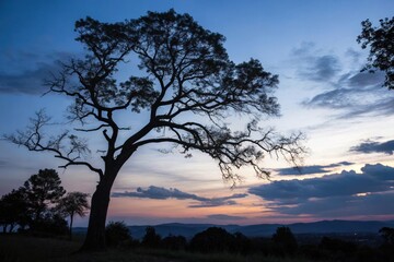 Lone tree silhouette against a twilight sky with distant mountains