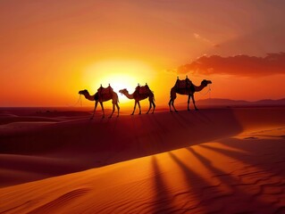 Camel Silhouette at Sunset in the Desert