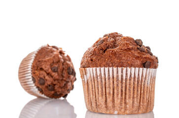 Chocolate muffins isolated on white background, close-up.