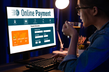 Online payment platform for brisk money transfer on the internet netowrk