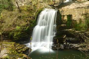waterfall in the forest